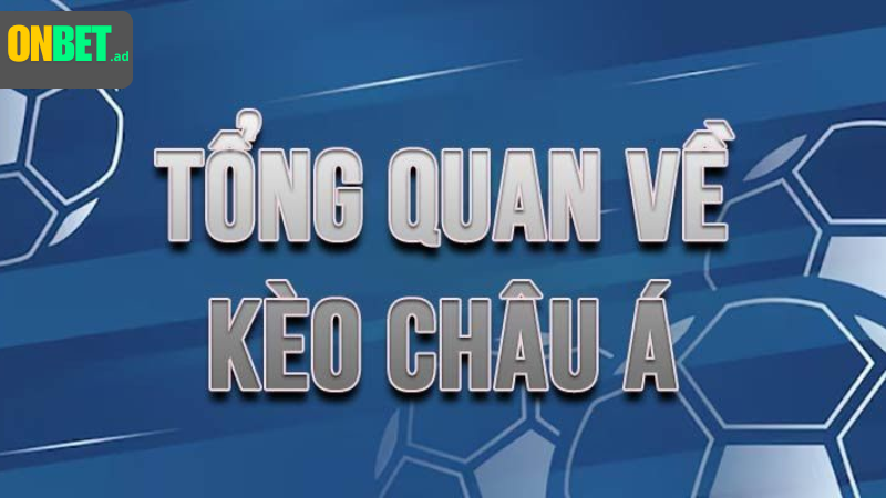 Tham khảo tips chuyên gia, cân nhắc kỹ lưỡng.